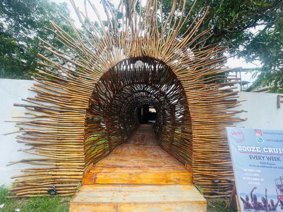 A Pousada Why Not Backpackers Mirissa Exterior foto