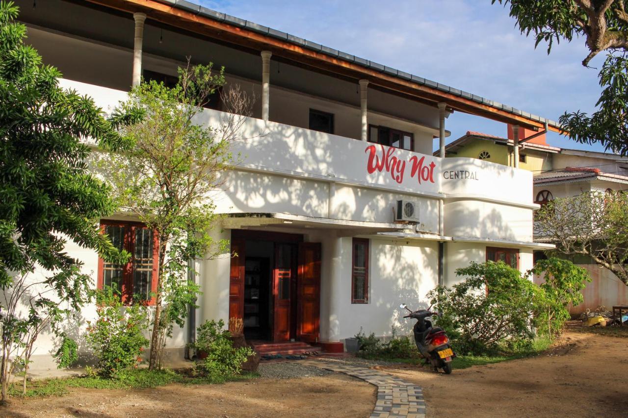 A Pousada Why Not Backpackers Mirissa Exterior foto